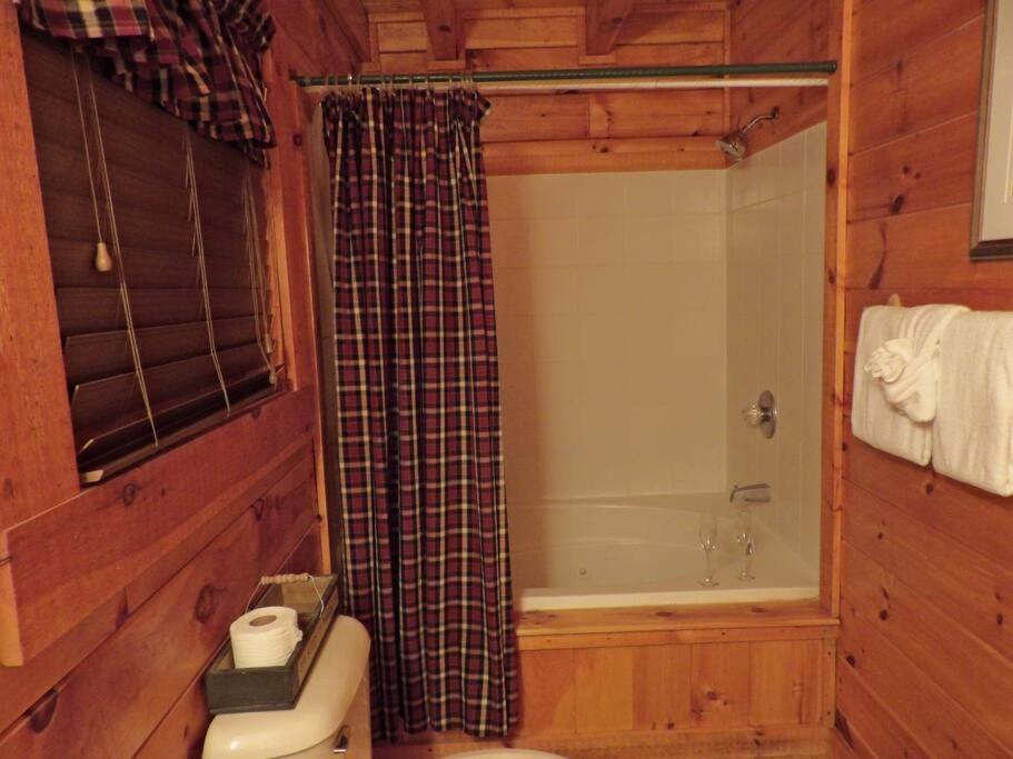 セバービル Yogi'S Den: Breathtaking Views! 3 Min To Dollywood, On 1 Acre!ヴィラ エクステリア 写真