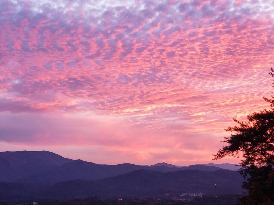 セバービル Yogi'S Den: Breathtaking Views! 3 Min To Dollywood, On 1 Acre!ヴィラ エクステリア 写真
